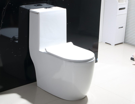 comprare WC portatile unico e moderno resistente ai graffi fabbricazione online