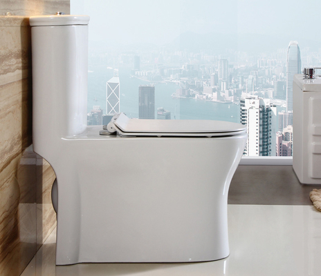 comprare Sifone a risparmio idrico Toilette monopezzo Cisterna superiore che fa capolino Toilette cinese fabbricazione online