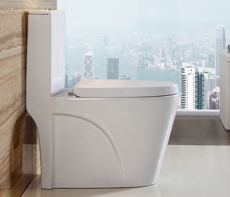 comprare Toilette da bagno in porcellana monopezzo allungata per sanitari fabbricazione online