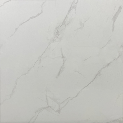 comprare Resistenza agli acidi Piastrelle lucide lucide vetrate Interni Pareti e pavimenti 60x60cm Soggiorno W.A 0.05% fabbricazione online