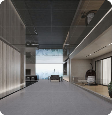 comprare 600x1200mm Piastrelle di porcellana antibatterica grigio profondo per pavimenti interni fabbricazione online