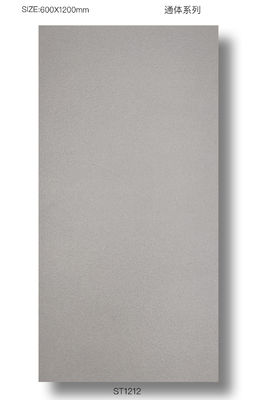 comprare Piastrelle per terrazza in porcellana grigia 48x24 - Resistenti all'umidità e durevoli fabbricazione online