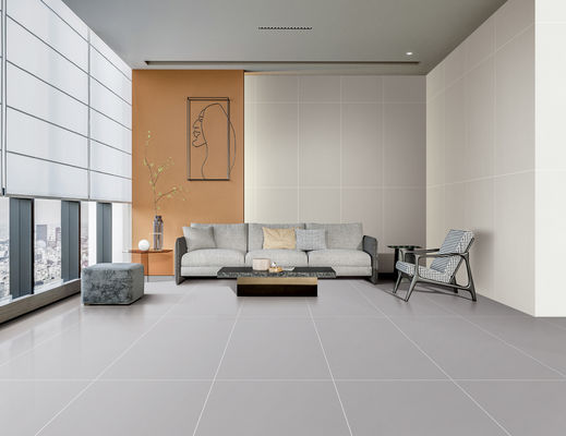 comprare Piastrella per pavimento in porcellana smaltata Starry 600x1200mm Grado AAA Grigio fabbricazione online