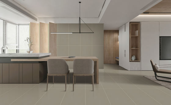 comprare Piastrella per pavimento in porcellana strutturata 60x120cm Smalto stellato Grado AAA fabbricazione online