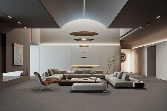 comprare Piastrelle di porcellana matte di grado grigio AAA 60x120cm Pavimento interno per soggiorno fabbricazione online