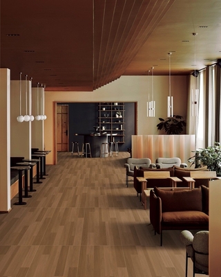 comprare Acqua resistente 600x1200mm Legno look porcellana piastrelle e pavimento esterno tessuto piastrelle per hotel fabbricazione online