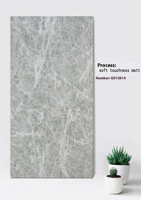 comprare Piastrella per facciata continua in argilla grigio chiaro 600x1200mm Soft Touchness Matt fabbricazione online