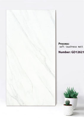 comprare Piastrelle per facciata continua in refrattario 600x1200mm in Jazz White Deep Gray fabbricazione online
