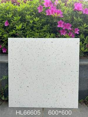 comprare Splendidi ed Eleganti Piastrelle in Ceramica Terrazzo Beige 600x600mm per Pavimenti Interni per Sala da Pranzo fabbricazione online