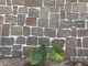 lo SGS di 14mm ha coltivato il mattone della pietra decorativo per l'abbellimento della parete del giardino