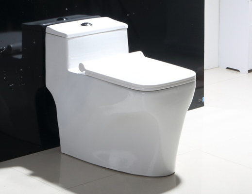 WC senza bordo a doppio scarico a parete per bagno con montaggio a pavimento