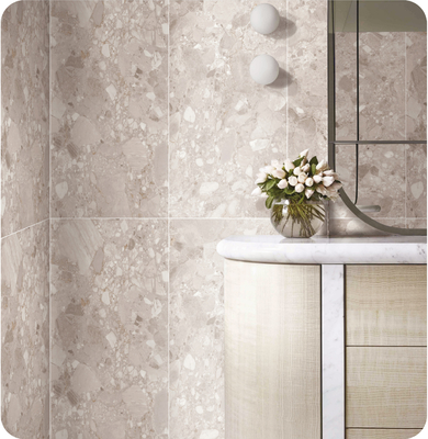 Acqua resistente 1200x600mm Pavimento interno Piastrelle di terrazzo e beige SGS Piastrelle di porcellana vetrata morbida per doccia e bagno