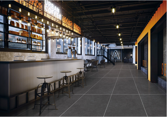 Gres porcellanato smaltato Starry Deep Gray 48x24 Antibatterico per pavimenti
