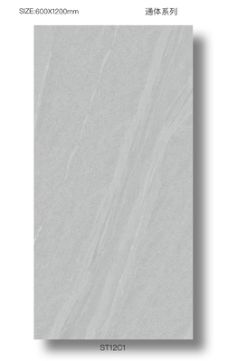 Pavimento esterno Durabile 60x120cm Piastrelle di decorazione in porcellana a corpo intero Per terrazza Piastrelle grey eco-friendly