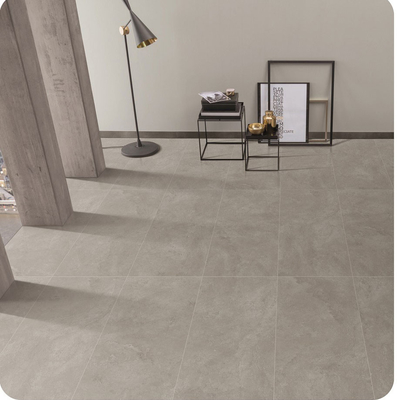 W.A 0,5% Grigio 600x1200mm Pavimento esterno Baby Face Vetrate Retro Porcellana Piastrelle per il Progetto
