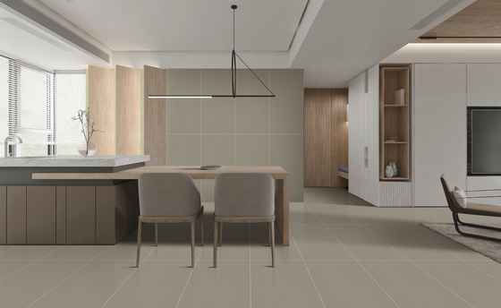 Piastrelle di porcellana per pavimenti a tessitura per camera da letto 60x120cm SGS