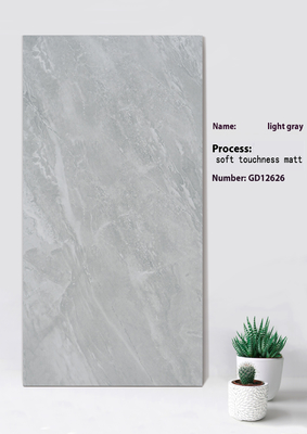 Antibatterica Grigio leggero Toccatezza morbida Matta Piastrella per centro commerciale 600x1200mm