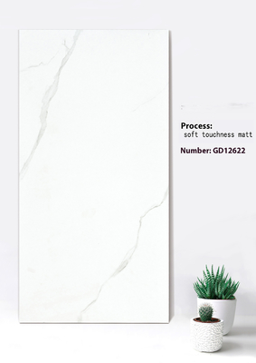 Beige e bianco resistente morbido sensibilità Matt Cornice Parete Spessore Piastrelle Per Soggiorno 600x1200mm