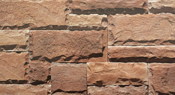 500SQM pietra coltivata all'aperto, impiallacciatura irregolare della parete di pietra del fungo 3D