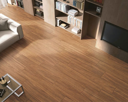La porcellana di legno di larghezza di PRIMERA 60cm piastrella Brown per il pavimento 150x900mm