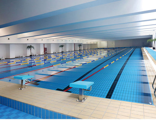 S003 il Decking ceramico del vicolo 24kg/Carton piastrella la piscina, mattonelle del bordo lustrate 115x240mm