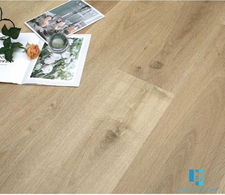 La pavimentazione di legno Lvp della quercia LVT SPC clicca il sistema per la cucina interna del bagno